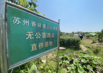 苏州香格里拉无公害蔬菜基地  为宾客奉上“西山传承，灵秀美馔”
