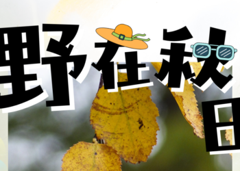 Vacation | 双节相逢 玩转小长假
